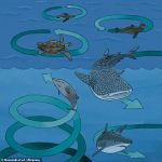La impresión de este artista muestra el comportamiento circular de varias criaturas marinas grandes.