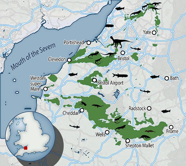 Un nuevo mapa que muestra la ubicación de una serie de pequeñas islas tropicales hace 200 millones de años en el área que ahora es Bristol arroja nueva luz sobre cómo vivían los dinosaurios británicos.