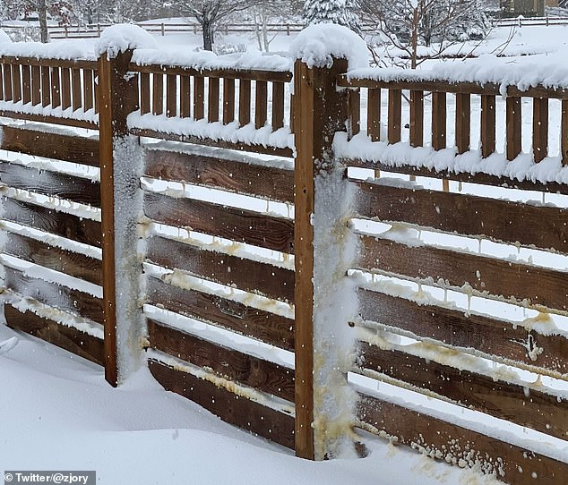 La tormenta invernal Xylia dejó caer casi un metro de nieve en Colorado durante el fin de semana, pero parte del polvo tenía un tono marrón en lugar de completamente blanco.