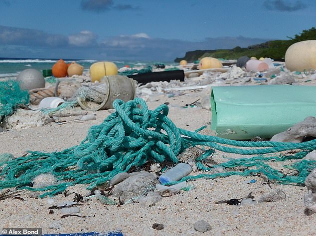 Miles de millones de piezas de plástico han caído en la arena de una remota isla del Pacífico de todo el mundo, a pesar de estar a 3.000 millas del continente más cercano.