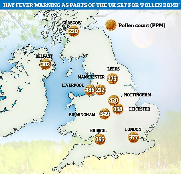 Londres, Leicester y Nottingham estarán entre los más afectados, con casi el doble de concentración de polen que se verá en otras regiones de 'alto contenido de polen'