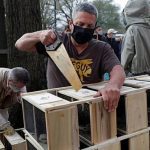 Italian honeybees, beehive deliveries, honeymakers, New York, bees, Bee populations, indian express news