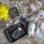 Científicos de la Universidad de Delaware han desarrollado un proceso para descomponer las poliolefinas, un tipo de plástico que es increíblemente difícil de descomponer pero responsable de la mayoría de los plásticos en la Tierra.