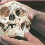 Los restos de una cueva búlgara revelan sorpresas sobre los primeros Homo sapiens en Europa