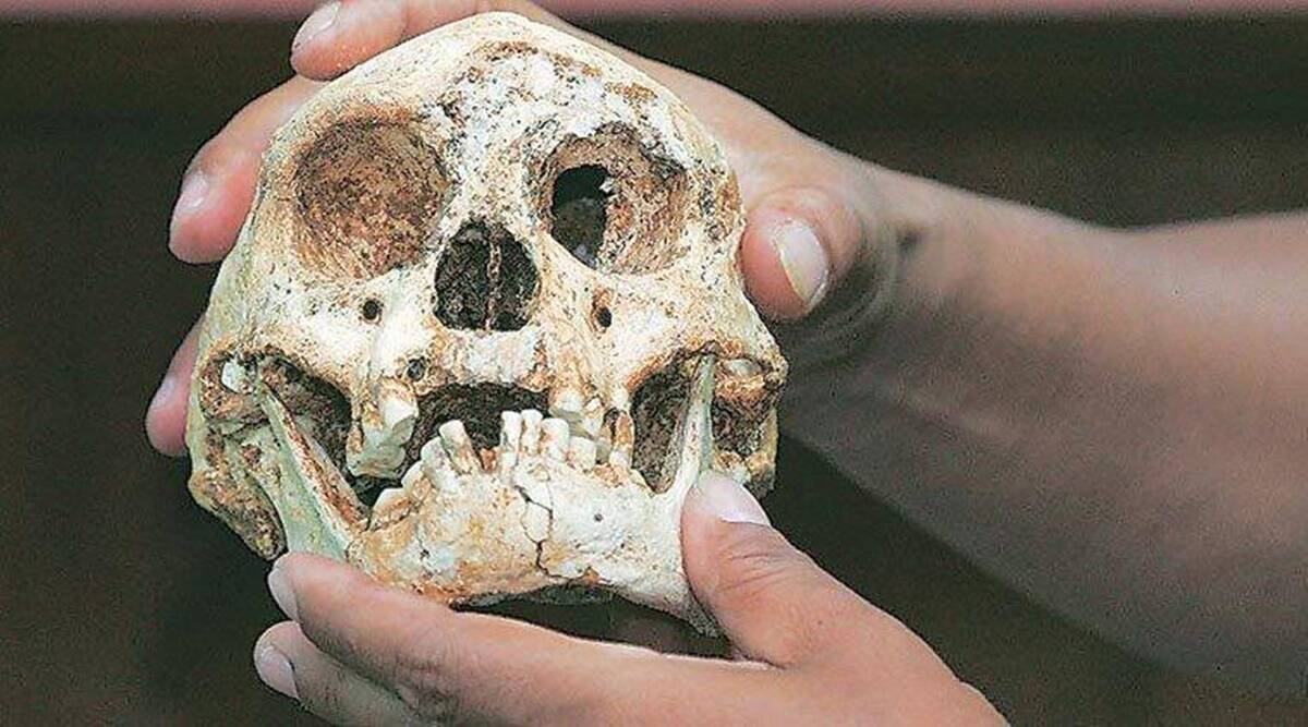 Los restos de una cueva búlgara revelan sorpresas sobre los primeros Homo sapiens en Europa