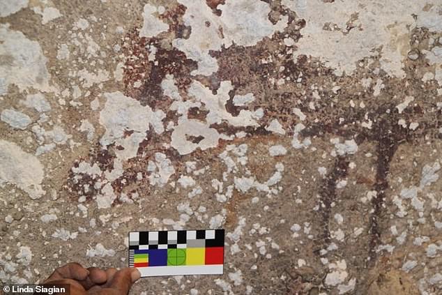 Los cristales de sal que se forman sobre y detrás del antiguo arte rupestre en Indonesia están causando su descomposición a un ritmo dramático