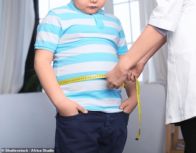 Se ha descubierto una mutación en el llamado 'gen de la grasa', que hace que los niños acumulen 37 libras adicionales (16.7 kg) cuando llegan a los 18 (imagen de archivo)