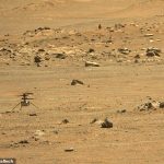 El helicóptero Ingenuity Mars de la NASA estableció nuevos récords de altitud y distancia de vuelo en el Planeta Rojo, completando su quinta prueba de vuelo exitosa el viernes.