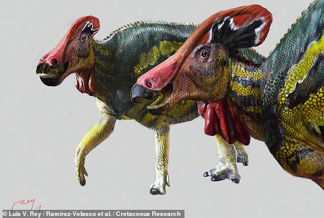 Los paleontólogos han descubierto una especie de dinosaurio 'hablador' de hace 73 millones de años que emitía 'sonidos fuertes' para ahuyentar a los depredadores y atraer parejas.  En la imagen: la impresión de un artista de cómo la criatura con cresta, Tlatolophus galorum, podría haber lucido en vida
