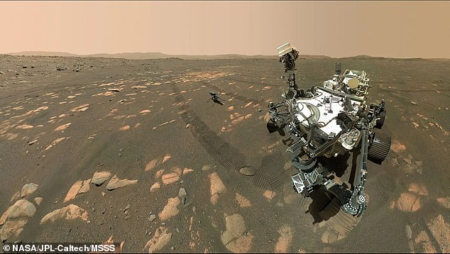 La NASA está considerando la década de 2030 para poner las primeras botas humanas en Marte, pero un científico sugiere que la agencia espacial estadounidense ya puede haber enviado formas de vida a bordo de su rover Perseverance al Planeta Rojo.