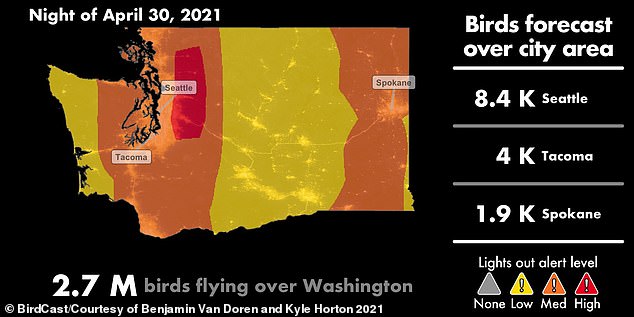 Se insta a los residentes del estado de Washington a atenuar las luces exteriores en preparación de más de 11.5 millones de aves migratorias que llenarán el cielo nocturno durante los próximos días.  Seattle está en alerta alta de 'Luces apagadas', que verá a más de 7,800 pájaros sobrevolar el viernes por la noche