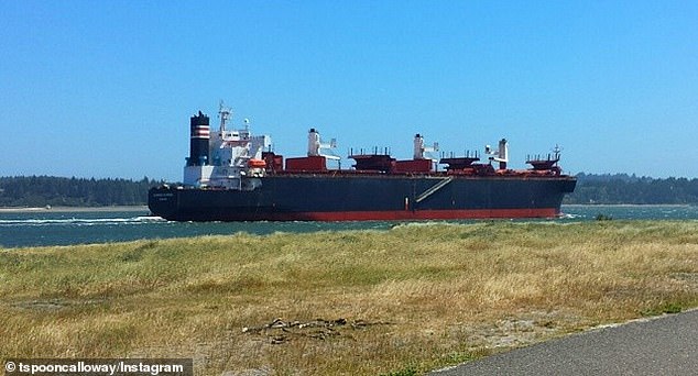 Las autoridades están buscando a dos miembros de la tripulación que se escabulleron de un contenedor del barco chino Glorious Plumeria (en la foto)