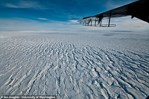 El glaciar Pine Island de 180 billones de toneladas de la Antártida podría colapsar en 20 años, ya que la plataforma de hielo flotante que ayuda a contenerlo se está `` desgarrando ''.  En la imagen, una vista a través del hielo que muestra las grietas que se forman donde el glaciar conectado a tierra fluye hacia la plataforma de hielo flotante.