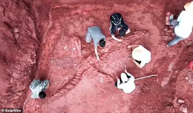 Los paleontólogos chinos han descubierto un esqueleto de dinosaurio jurásico extraordinariamente completo