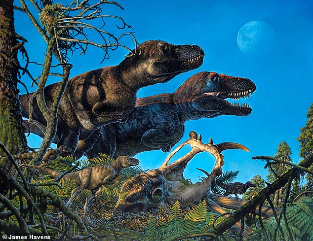Un vivero de dinosaurios que alguna vez fue utilizado por siete especies diferentes, incluidos tiranosaurios y 'lagartos de oso polar', se ha encontrado en un lugar inesperadamente frío: el Ártico.  En la imagen: la impresión de un artista del tiranosaurio Nanuqsaurus con su joven descendencia.