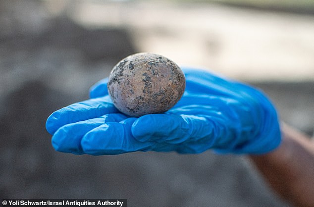 Un huevo de gallina rodeado de heces humanas dentro de un antiguo pozo negro durante 1.000 años ha sido desenterrado en Israel.