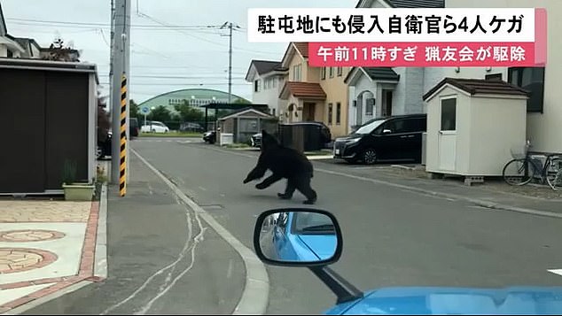 El oso pardo es visto saltando por una calle residencial frente a un automóvil en Sapporo el viernes.