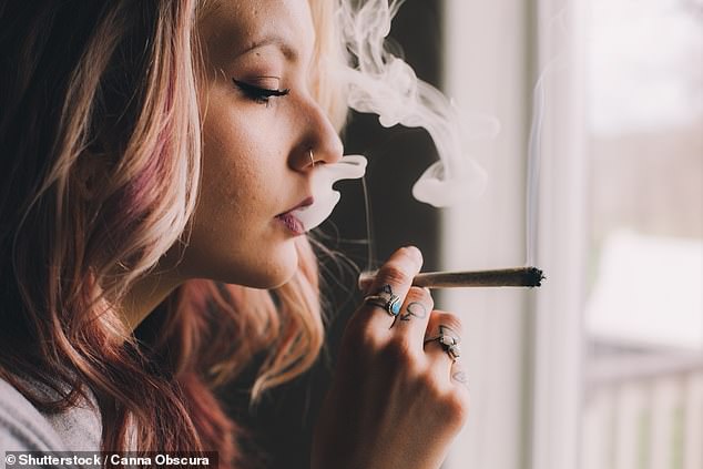 Los consumidores de cannabis son más propensos a pensar, planear e intentar suicidarse incluso sin antecedentes de depresión, según un estudio, y las mujeres tienen más riesgo (imagen de archivo)
