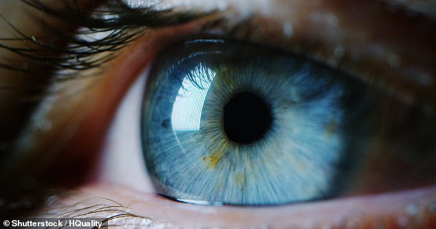 Las personas que tienen pupilas más grandes en los ojos son más inteligentes que aquellas con pupilas más pequeñas, según un nuevo estudio.  Imagen de archivo