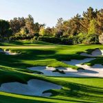 El green fee más caro del mundo sube en el Creek - Golf News |  Revista de golf