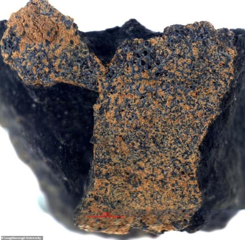 Imagen de la Universidad de Loughborough que muestra el meteorito encontrado en Woodmancote, Gloucestershire en marzo por el químico Derek Robson