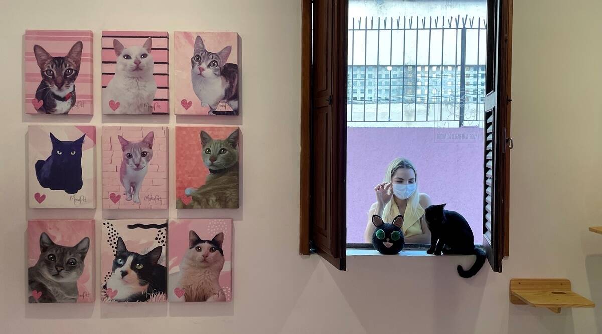 Woman at cat cafe