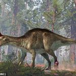 Se descubrió que un dinosaurio con pico de pato descubierto en la Patagonia argentina en 1984 tenía un tumor en el pie y dos dolorosas fracturas en la cola, como se muestra en la imagen.