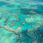 El Comité del Patrimonio Mundial de la UNESCO anunció el viernes que no incluirá a la Gran Barrera de Coral como en peligro de extinción luego de dos días de deliberaciones que dejaron a los australianos conteniendo la respiración por temor a que una nueva clasificación pudiera dañar la imagen de la maravilla natural.