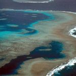 La UNESCO reprende a Australia por la propuesta de la Gran Barrera de Coral