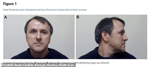 En comparación con las fotografías estáticas, las alineaciones interactivas aumentaron la identificación correcta de los sospechosos culpables en un 18%.  En la imagen, ejemplo de caras alineadas desde el frente (A) y el perfil derecho (B)