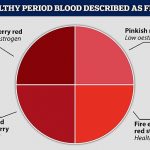 Sangre de período saludable descrita como fruta: lo que dice el color de su menstruación sobre su salud