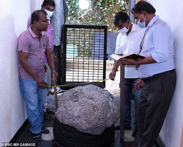 Un grupo de zafiros estrella por valor de hasta $ 100 millones ha sido descubierto en el patio trasero de un hombre de Sri Lanka por trabajadores que estaban cavando un pozo.
