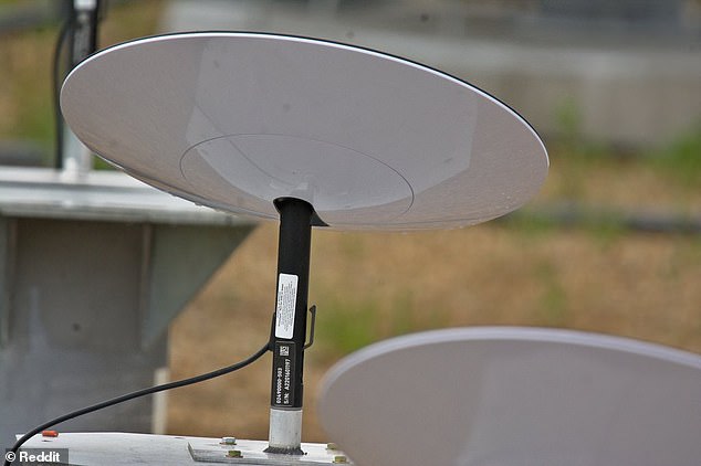 Las palomas que se posan están haciendo que algunos clientes del servicio de banda ancha Starlink de Elon Musk pierdan el acceso a Internet, al sentarse en las antenas parabólicas tipo baño de pájaros.