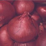 onion peel research