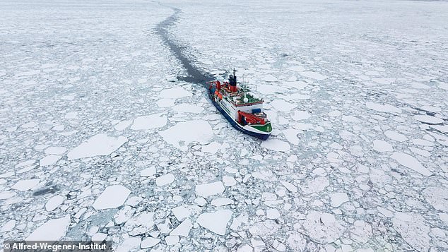 Grandes extensiones del hielo marino ártico más antiguo y grueso tienen un alto riesgo de derretirse este verano, advirtió un nuevo estudio.  El buque de investigación Polarstern se muestra a la deriva en el hielo marino del Ártico