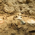 Las excavaciones de la Autoridad de Antigüedades de Israel (IAA) en el Parque Nacional de la Ciudad de David revelaron una capa de destrucción durante las excavaciones, que consistió en muros derrumbados, cerámica rota y trozos y pedazos de otros bienes.