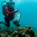Buzos filipinos eliminan los desechos plásticos de los corales para el Día Mundial de la Limpieza