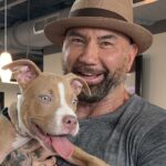 Dave Bautista ofrece una recompensa de $ 5,000 por encontrar un 'pedazo de mierda enfermo' que abusó de Rescue Puppy