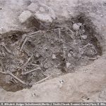 Un par de fosa común que contiene 25 cruzados que fueron masacrados durante una guerra del siglo XIII han sido desenterrados en el Líbano.