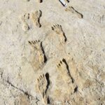 archeology footprint