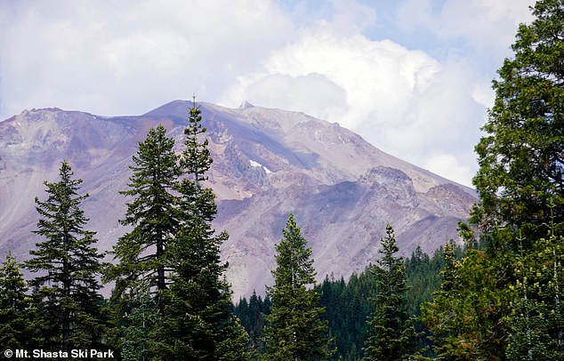 Las olas récord y la sequía han dejado a Mount Shasts de California casi sin nieve.  Esta publicación del 24 de agosto de Mount Shasta Ski Park muestra la icónica cumbre aparentemente desprovista de casi todo polvo.
