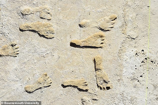 Las huellas encontradas en el Parque Nacional White Sands en Nuevo México datan de hace 23,000 años, lo que las convierte en la primera 'evidencia inequívoca' de homo sapiens en el Nuevo Mundo miles de años antes de la mayoría de las estimaciones.