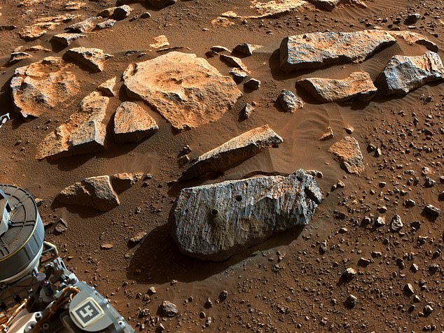 La NASA anunció el viernes que las primeras rocas recolectadas por el rover Perseverance en Marte revelan que el cráter Jezero fue una vez 'un entorno sostenido potencialmente habitable'
