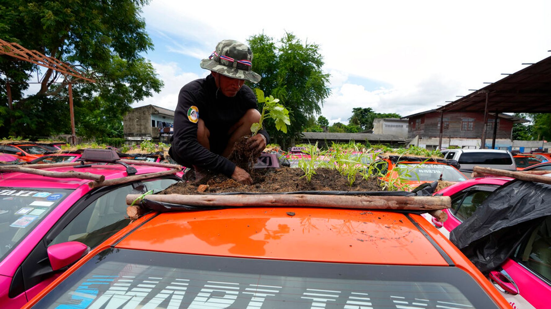 Los taxistas tailandeses detenidos por los cierres de COVID-19 convierten los techos de los automóviles en jardines