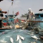 Pescadores de Malasia en último intento por detener la recuperación de Penang