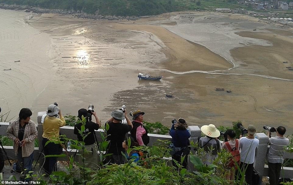 Melinda Chan visitó Xiapu, que tiene una costa en el Mar de China Oriental, y fotografió enjambres de turistas capturando a pescadores (arriba).  En declaraciones a MailOnline Travel, dijo: 'Algunos de los pescadores fueron dirigidos y posados.  Aunque algunos realmente estaban haciendo su propio trabajo '