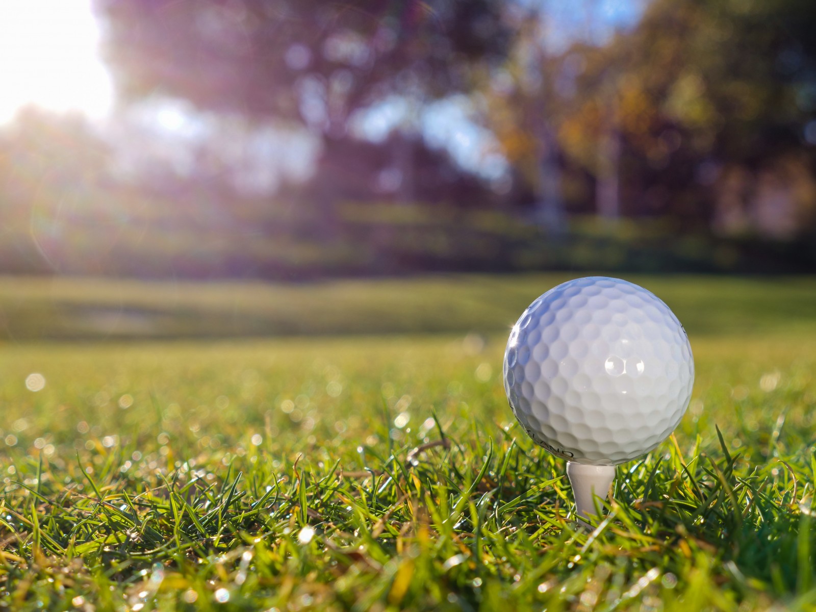 Cómo relajarse cuando está demasiado húmedo para jugar al golf - Noticias de golf |  Revista de golf