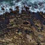 El daño que provocó el derrame de petróleo en California probablemente sucedió hace meses: Guardia Costera