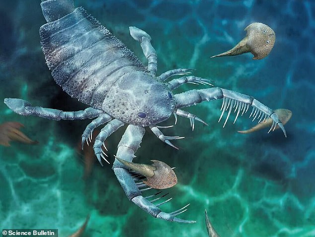 Un aterrador escorpión marino del tamaño de un perro ('euriptérido', en la foto) merodeaba por las aguas de lo que hoy es China hace unos 435 millones de años, usando sus brazos espinosos para agarrar presas desprevenidas.