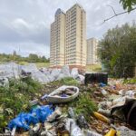 Las imágenes han mostrado la sombría realidad de que cada rincón de la segunda ciudad de Escocia está plagado de basura, volcaduras de moscas y contenedores desbordados en los últimos meses (esta imagen muestra volcaduras de moscas en Cranhill)